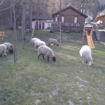 B&B La Miando Salza di Pinerolo Екстер'єр фото